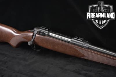 1996-1997 Savage Arms Model 110 GNS 270 Win 22" Blued & Walnut M110
