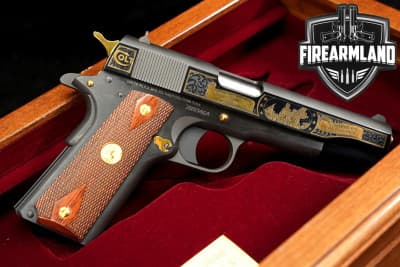 LIMITED Colt Government Model 1911 America Remembers "We The People" 45 ACP